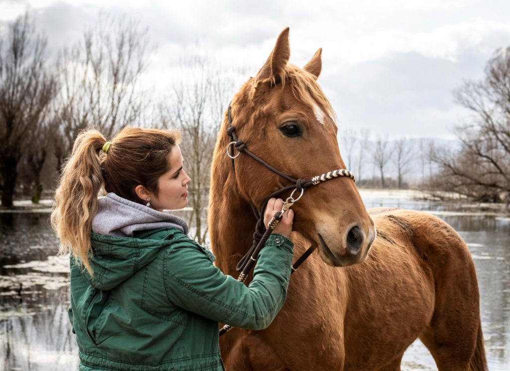 Ekologiczne zagrożenia dla koni mogą przybierać różne formy i dotyczyć różnych aspektów ich życia