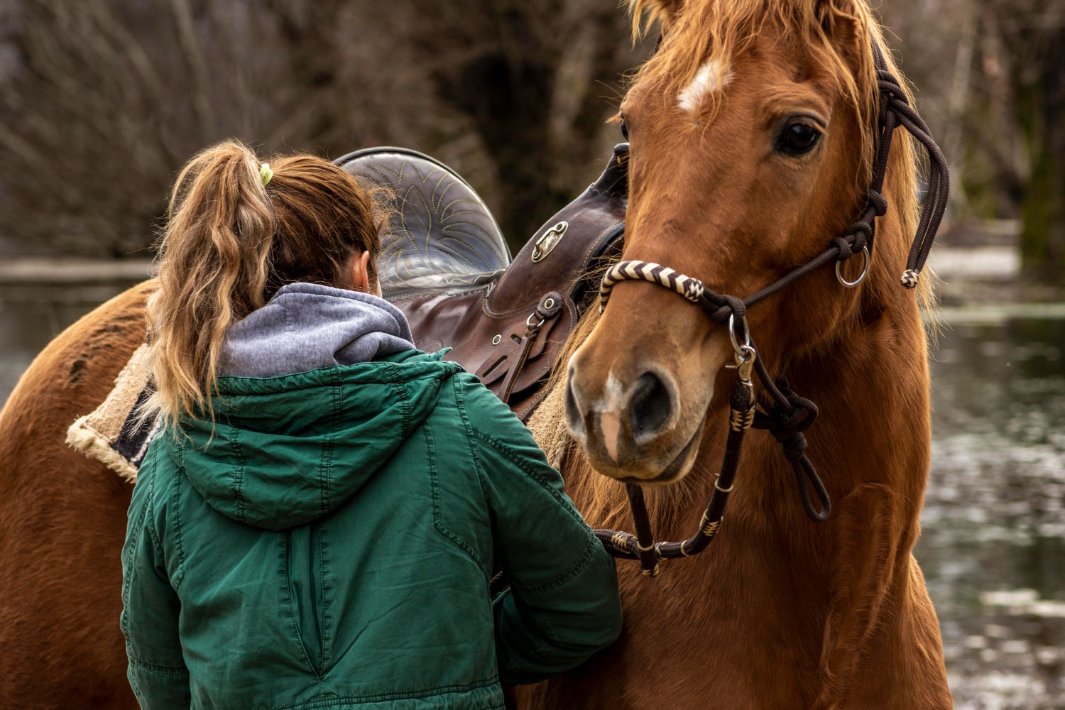 Ochrona koni przed zagrożeniami ekologicznymi